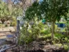 32 Wollyam Street, Goomalling, WA 6460-Image