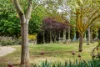 32 Wynyard Avenue, Littlehampton, SA 5250-Image