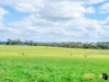 320 Berry Road, Gidgegannup, WA 6083-Image