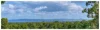 320 Duthie Avenue, Frenchville, Qld 4701-Image