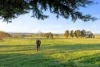 320 Kangaroo Hills Road, Blampied, Vic 3364-Image