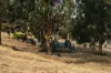 320 Perth Mill Road, Perth, Tas 7300-Image