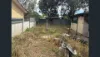 321 Balo St, Moree, NSW 2400-Image