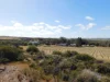 321 Nanson-Howatharra Road, Nanson, WA 6532-Image