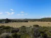 321 Nanson-Howatharra Road, Nanson, WA 6532-Image