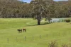 321 Old Drummond Road, Taradale, Vic 3447-Image