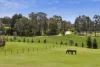 321 Old Drummond Road, Taradale, Vic 3447-Image