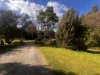 321 South Elliott Road, Elliott, Tas 7325-Image