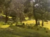 321 South Elliott Road, Elliott, Tas 7325-Image