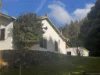 321 South Elliott Road, Elliott, Tas 7325-Image