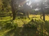 321 South Elliott Road, Elliott, Tas 7325-Image
