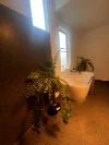 321 South Elliott Road, Elliott, Tas 7325-Image