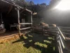 321 South Elliott Road, Elliott, Tas 7325-Image