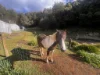 321 South Elliott Road, Elliott, Tas 7325-Image