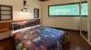 3217R Mossman Daintree Road, Daintree, Qld 4873-Image