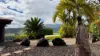 3217R Mossman Daintree Road, Daintree, Qld 4873-Image