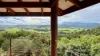 3217R Mossman Daintree Road, Daintree, Qld 4873-Image
