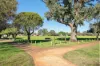 322 Epsom Avenue, Cloverdale WA 6105-Image