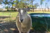 322 Toolong Road, Toolong, Vic 3285-Image