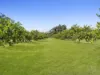 323 Coonoongibber Creek Road, Brooloo, Qld 4570-Image