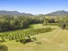 323 Coonoongibber Creek Road, Brooloo, Qld 4570-Image