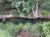 323 Coonoongibber Creek Road, Brooloo, Qld 4570-Image