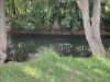 323 Coonoongibber Creek Road, Brooloo, Qld 4570-Image