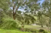 325 Kangaroo Ground-Wattle Glen Road, Kangaroo Ground, Vic 3097-Image