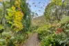 325 Kangaroo Ground-Wattle Glen Road, Kangaroo Ground, Vic 3097-Image