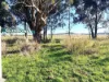 3251 Manilla Rd, Klori, NSW 2346-Image
