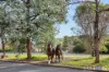 327 Hindmarsh Drive, Rivett, ACT 2611-Image