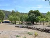 327 Springhill Bottom Road, Colebrook, Tas 7027-Image