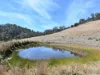 327 Springhill Bottom Road, Colebrook, Tas 7027-Image