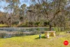 327 Warrowitue-Forest Road, Heathcote, Vic 3523-Image