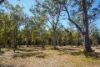 328 Baldaw Road, Captain Creek, Qld 4677-Image