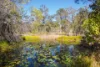 328 Baldaw Road, Captain Creek, Qld 4677-Image