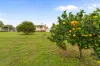 328 Comleroy Road, Kurrajong, NSW 2758-Image
