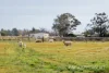 328 Cowanna Avenue, Merbein, Vic 3505-Image