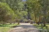 329 Bells Reef Road, Maldon, Vic 3463-Image