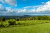 329 Stewart Road, Coondoo, Qld 4570-Image