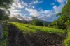 329 Stewart Road, Coondoo, Qld 4570-Image