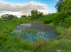 329 Stewart Road, Coondoo, Qld 4570-Image