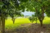 329 Stewart Road, Coondoo, Qld 4570-Image