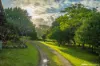 329 Stewart Road, Coondoo, Qld 4570-Image