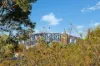 32A  Nelson Street, Rozelle, NSW 2039-Image