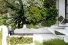 32B Carlotta Road, Double Bay, NSW 2028-Image
