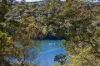 32B Rembrandt Drive, Middle Cove, NSW 2068-Image