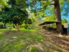 33 & 33A Togil Street, Canley Vale, NSW 2166-Image