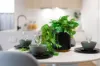 33 Alambadi Circuit, Clyde North VIC 3978-Image