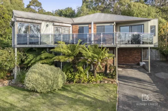 33 Allison Avenue, Riverside, Tas 7250